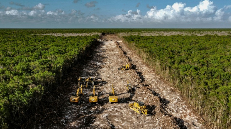 Au Mexique, les puits sacr&eacute;s pr&eacute;-hispaniques bloquent l'avanc&eacute;e du Train maya