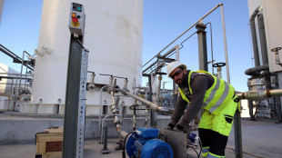 Algeria, prorogata gara internazionale sugli idrocarburi per attrarre investitori