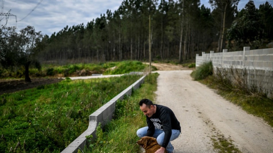 Bobi pierde su t&iacute;tulo de "perro m&aacute;s longevo de todos los tiempos"