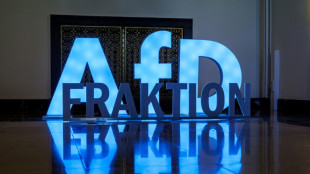 Bundestag verweigert Ausstellung von Hausausweisen - AfD sieht "Benachteiligung"