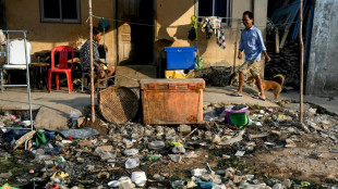 Derri&egrave;re les cr&eacute;dits plastique, l'incin&eacute;ration des d&eacute;chets