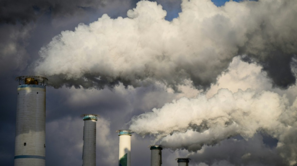 Südkorea will keine neuen Kohlekraftwerke mehr bauen