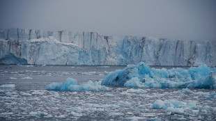A guidare le glaciazioni furono le differenze dei due poli
