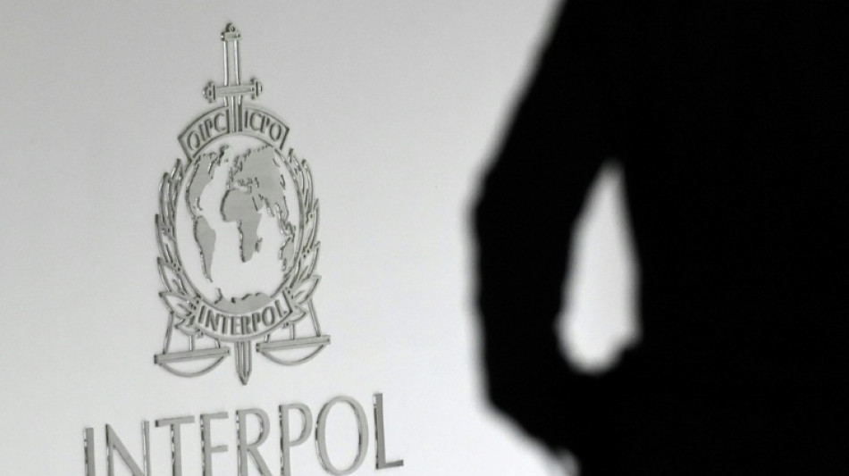 Veinte detenidos en un operativo internacional contra la pornograf&iacute;a infantil
