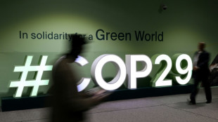 M&aacute;s de 300 ONG instan a pa&iacute;ses en desarrollo a abandonar la COP29 tras propuesta "inaceptable"
