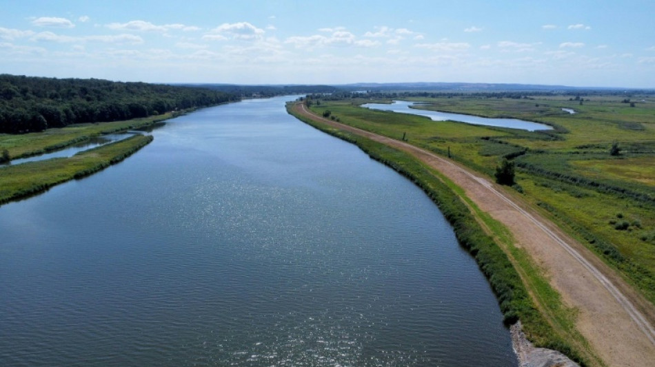 "Des poissons morts partout" : crainte de d&eacute;sastre environnemental en Allemagne et Pologne 
