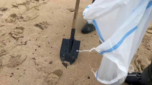 M&aacute;s de 30 cet&aacute;ceos muertos tras el derrame de petr&oacute;leo ruso en el mar Negro