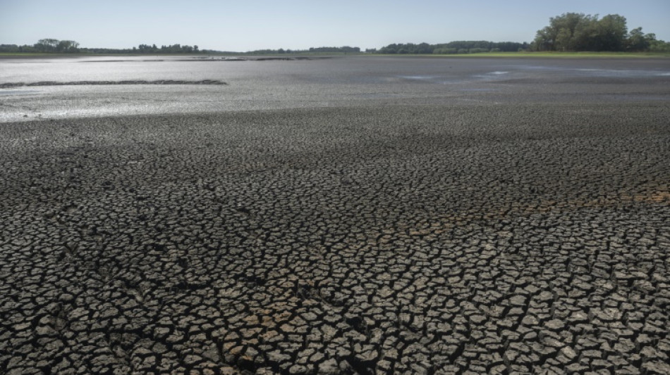 L'eau sal&eacute;e des robinets de Montevideo, cons&eacute;quence de la s&eacute;cheresse en Uruguay