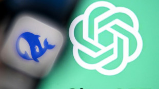 "KI-Ära" ist Wort des Jahres 2025 - Begriff "Deal" auf Platz zwei