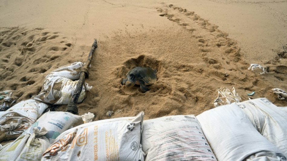 Hurac&aacute;n Hilary avanza hacia el noroeste de M&eacute;xico como categor&iacute;a 3