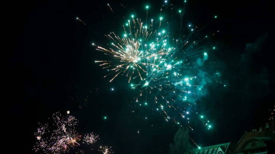 Wahlkampftöne prägen Bundestagsdebatte über Silvestergewalt