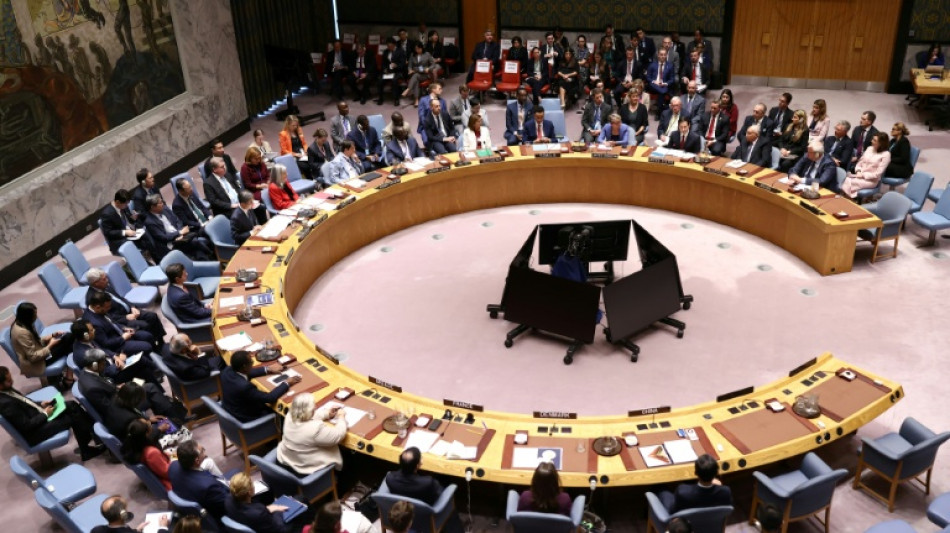 Vote attendu du Conseil de s&eacute;curit&eacute; de l'ONU pour autoriser une force internationale &agrave; Gaza