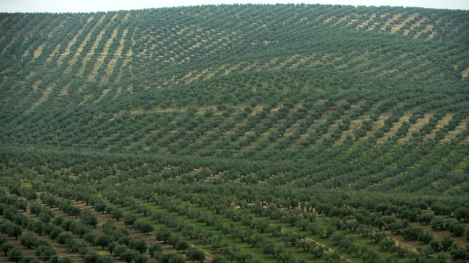 Environ 15% des terres cultivables dans le monde sont contaminées aux métaux lourds (étude)
