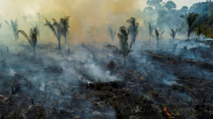 La deforestaci&oacute;n en la Amazon&iacute;a aumenta y reduce las lluvias, seg&uacute;n un estudio