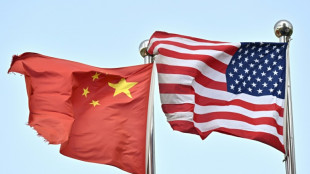 Trump-Xi call fuels market optimism but US stocks slip on Musk row