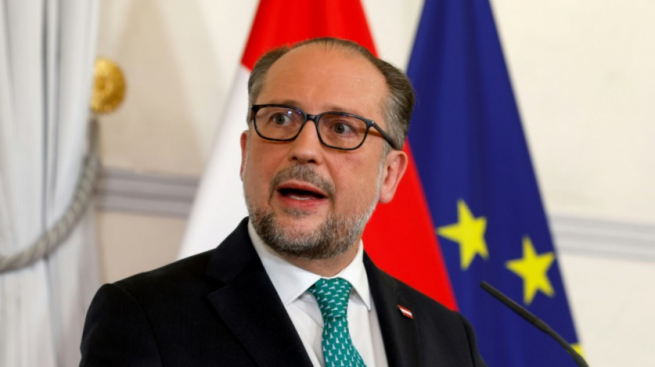 El ministro de Relaciones Exteriores de Austria ocupar&aacute; temporalmente el cargo de jefe de gobierno