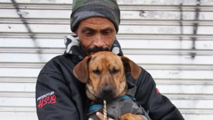 Brasile: cane restituito a senzatetto, '&egrave; famiglia multispecie'