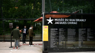 Paris exibe arte contemporânea autóctone da Amazônia