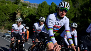 "Une autoroute pour cyclistes": sur la Costa Blanca, dans la fourmili&egrave;re du peloton pro