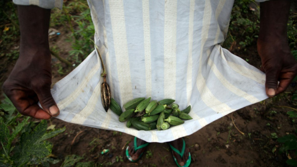 Extractos de plantas suculentas como la ocra pueden remover micropl&aacute;sticos de aguas residuales
