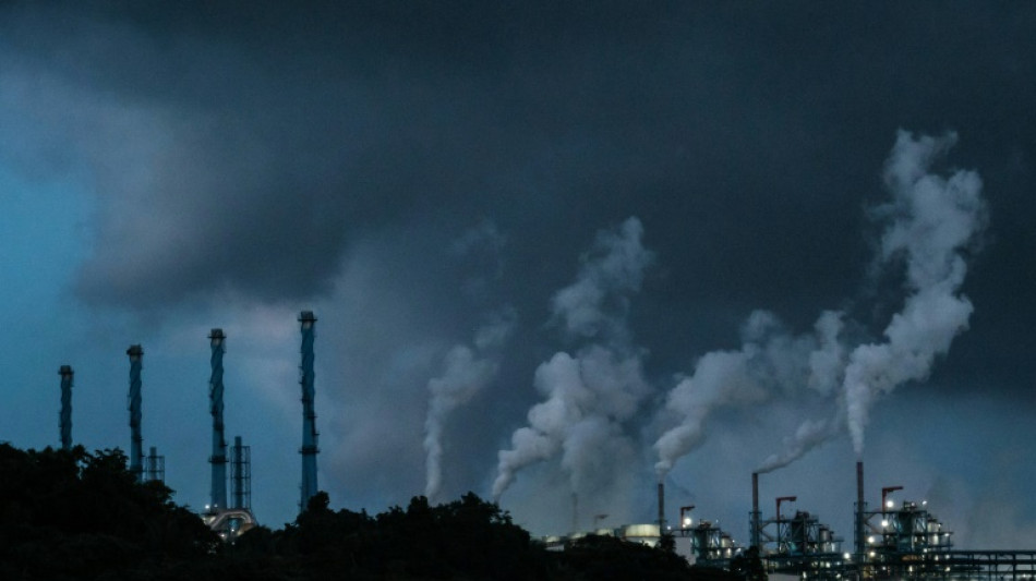 Environment fears over $6 bn Indonesia EV battery project: NGOs