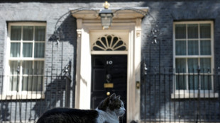 Kater Larry k&ouml;nnte Konkurrenz in der Downing Street bekommen