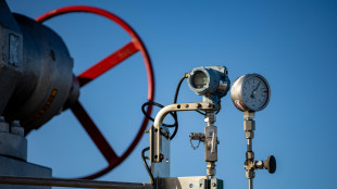 Il gas naturale chiude sopra i 28,5 euro sulla piazza Ttf di Amsterdam