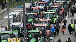 Miles de agricultores europeos se manifiestan contra el acuerdo UE-Mercosur