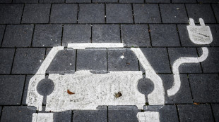 Verkehrsminister Wissing gegen Abwrackpr&auml;mie und h&ouml;here Kaufpr&auml;mie f&uuml;r E-Autos