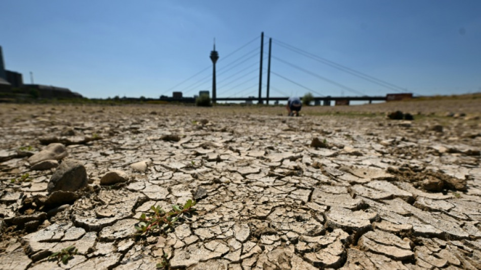 Niedrigwasser: Rheinpegel sinken an mehreren Orten auf Tiefststand