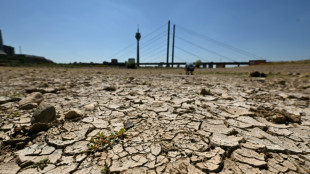 Record July heat in regions home to 900 mn people: AFP analysis
