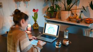 Ifo: Besch&auml;ftigte verbringen 17 Prozent der Arbeitszeit im Homeoffice