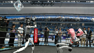 Football and falls as first humanoid robot games launch in China