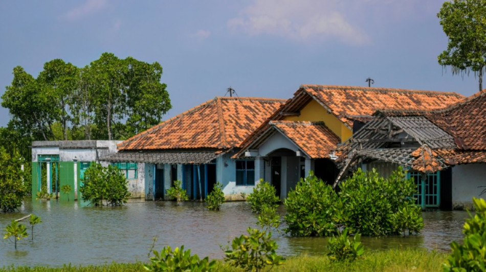 Can a giant seawall save Indonesia's disappearing coast?