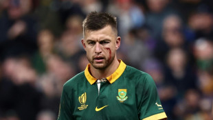 Springboks choose Pollard at fly-half for Ireland Test