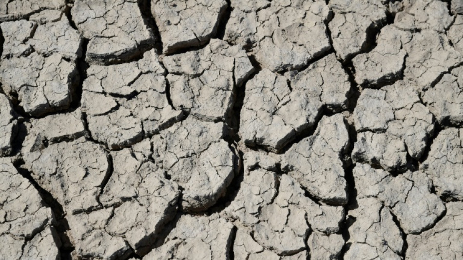 Experten warnen vor Gesundheitsgefahren durch Klimawandel und Umweltzerst&ouml;rung