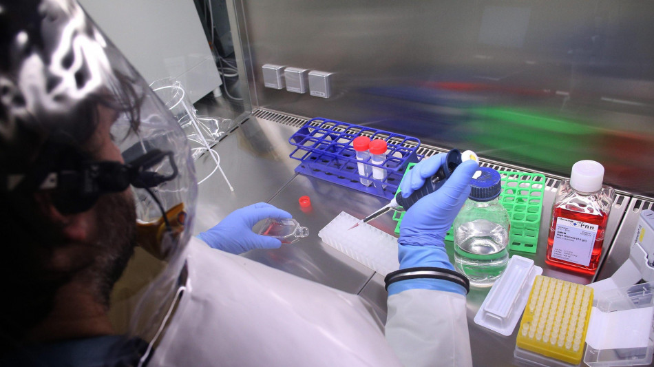 Brasile, al via i lavori di un super laboratorio anti-pandemie