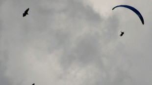 &iquest;Puede el mundo salvar el ave costera que vuela 30.000 kil&oacute;metros por a&ntilde;o?