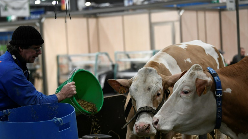 Salon de l'agriculture: Macron au contact du monde rural et des Fran&ccedil;ais