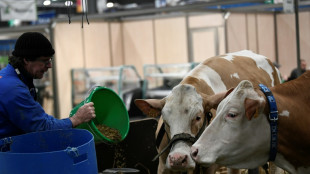 Salon de l'agriculture: Macron au contact du monde rural et des Fran&ccedil;ais