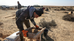 Descubren huevos de avestruz de m&aacute;s de 4.000 a&ntilde;os en Israel