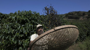 V&iacute;tima do tarifa&ccedil;o de Trump, caf&eacute; brasileiro quer minimizar preju&iacute;zo