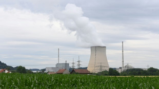 Gr&uuml;ne sehen "Atomwahlkampf" der FDP als Grund f&uuml;r Schlappe in Niedersachsen