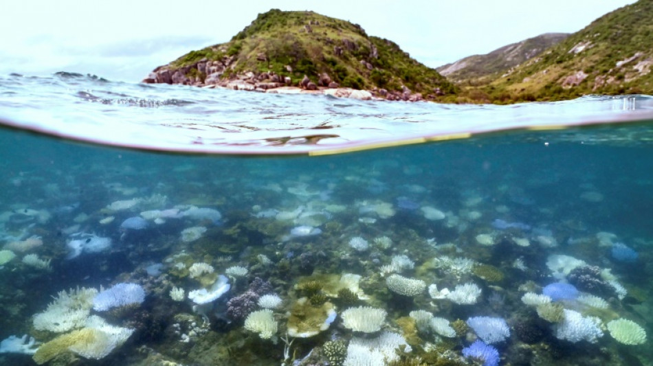 Australien will Wasserqualit&auml;t am Great Barrier Reef verbessern