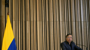 Petro invita a los latinoamericanos a unirse y expresarse en EEUU