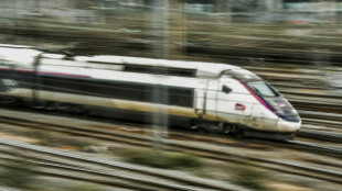 SNCF: la ligne LGV Sud-Est paralys&eacute;e, 80.000 voyageurs affect&eacute;s