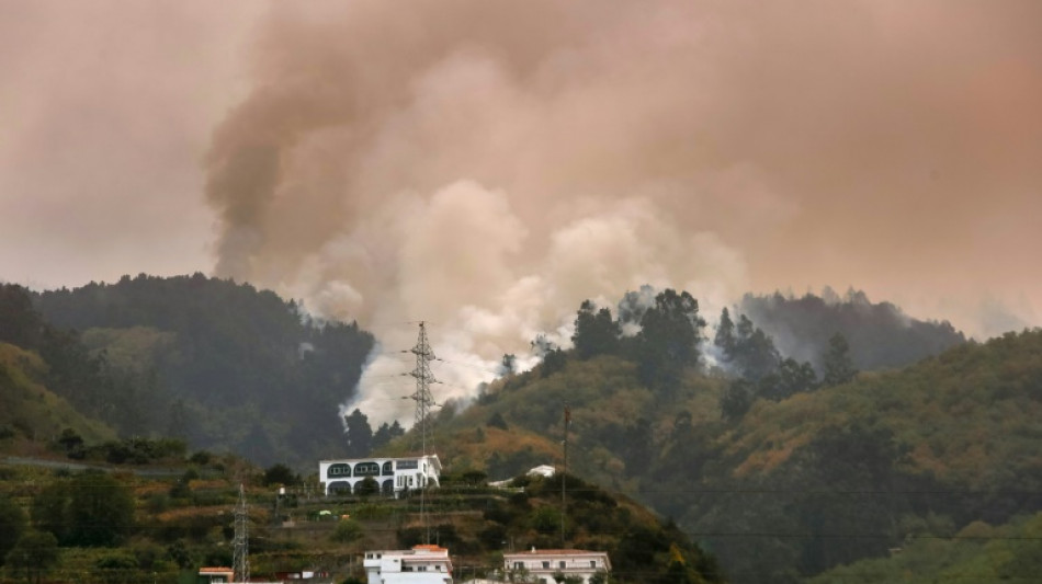 Los bomberos espa&ntilde;oles avanzan en la lucha contra el incendio de Tenerife
