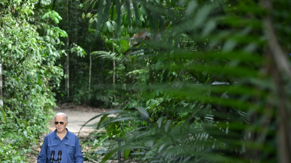 Biden: Niemand kann Energiewende in den USA r&uuml;ckg&auml;ngig machen