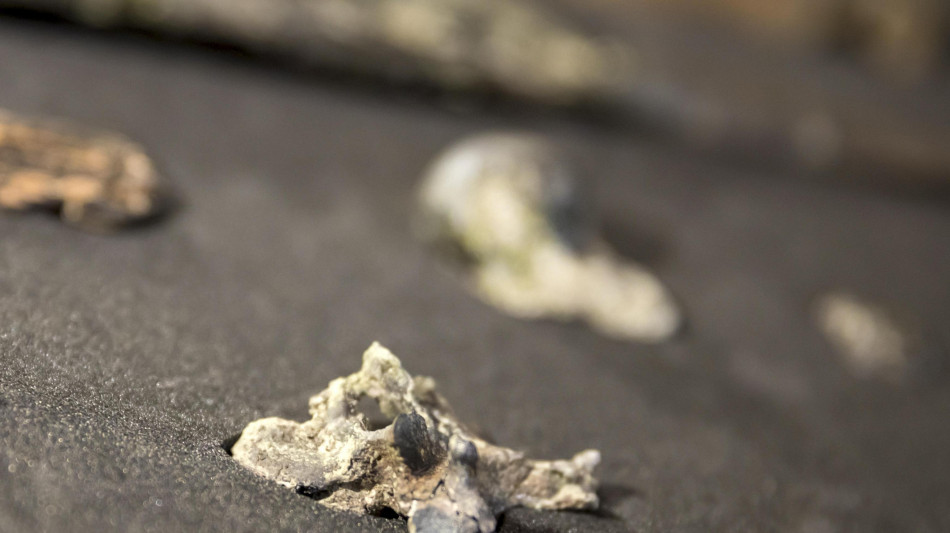 Ricostruita la vita di un bambino dell'Età del Rame