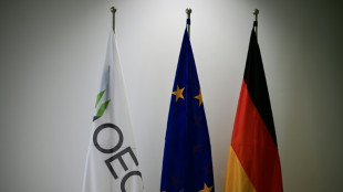 L'OCDE plus optimiste pour la croissance des poids lourds économiques en 2025